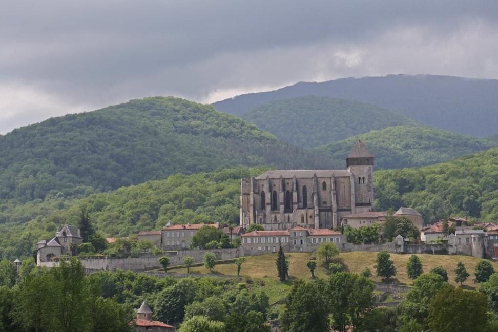 Chateau De Vidaussan Bed & Breakfast Labroquere ภายนอก รูปภาพ