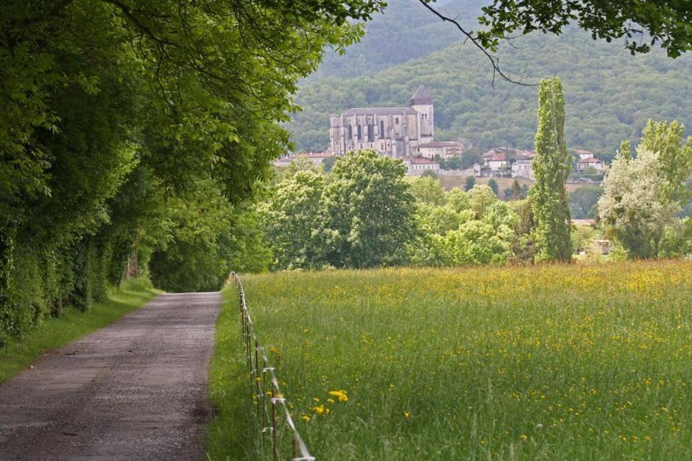 Chateau De Vidaussan Bed & Breakfast Labroquere ภายนอก รูปภาพ